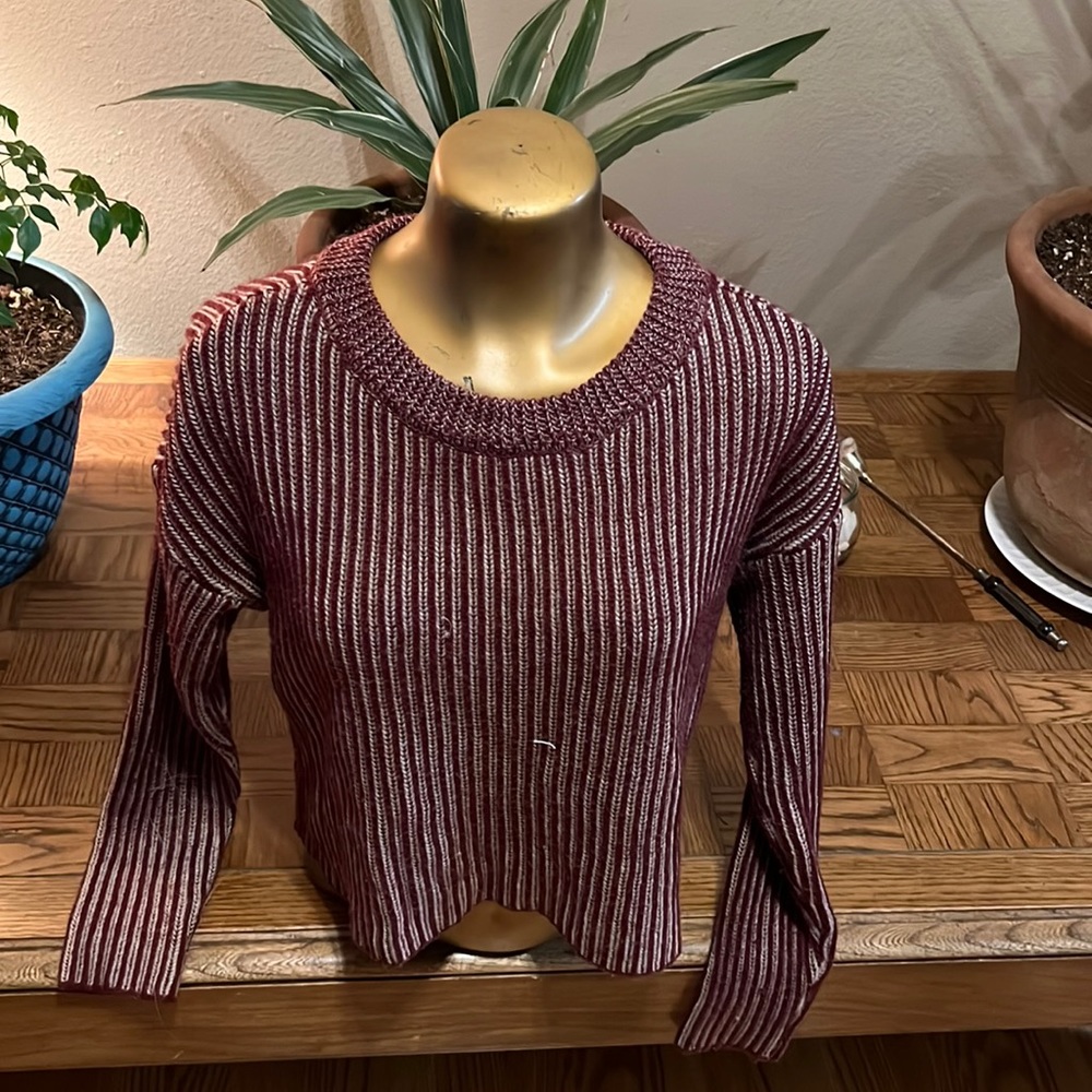 Super cute crop Sweater